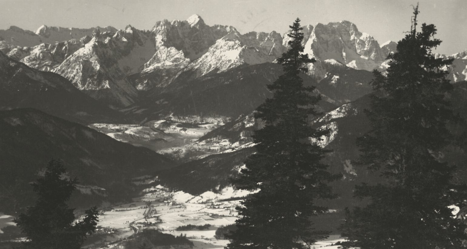 Pines in front of the Julian Alps above a valley, 1930 postcard